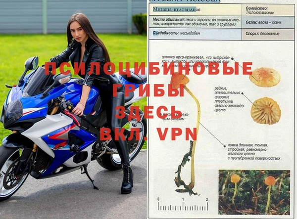 спайс Аркадак