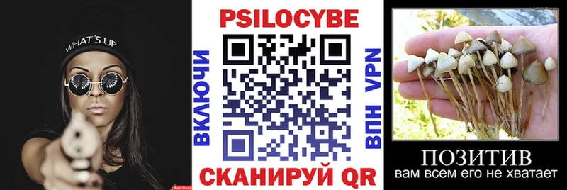 Купить  Николаевск  Псилоцибиновые грибы прущие грибы 